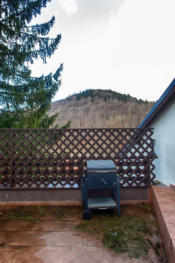 Vila Imperial Bed and Breakfast Σινάια Εξωτερικό φωτογραφία